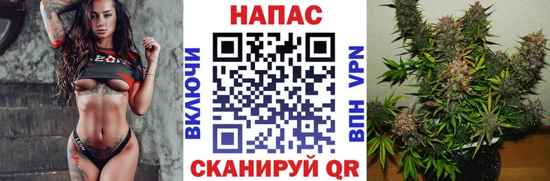 МАРИХУАНА план Калтан